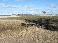 PRIME BASALT FARMING OR GRAZING Picture