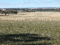 PRIME BASALT FARMING OR GRAZING Picture