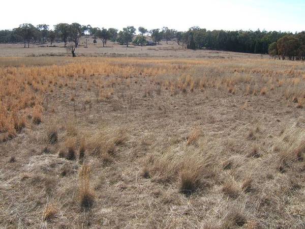 10 ACRES - GREAT POSITION Picture 1