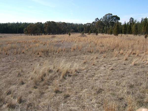 10 ACRES - GREAT POSITION Picture 2