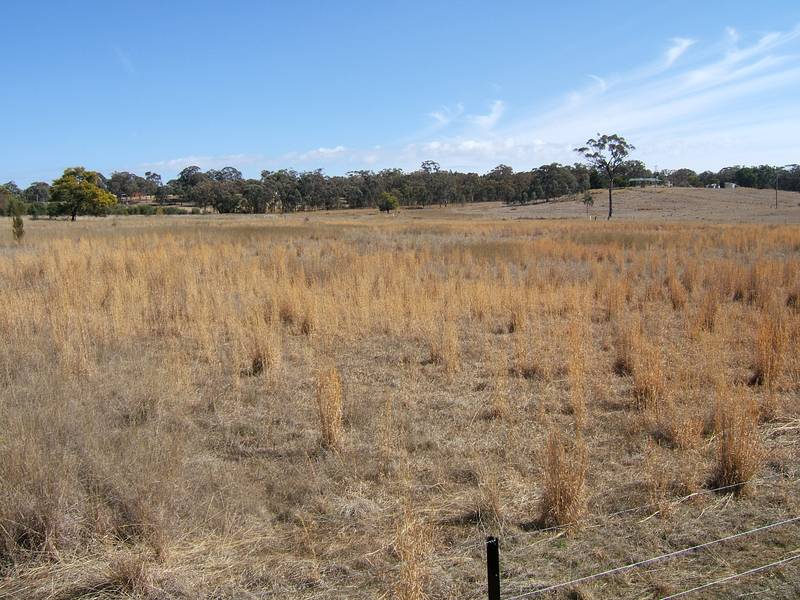 10 ACRES - NO COVENANTS Picture 1