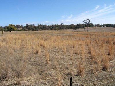 10 ACRES - NO COVENANTS Picture