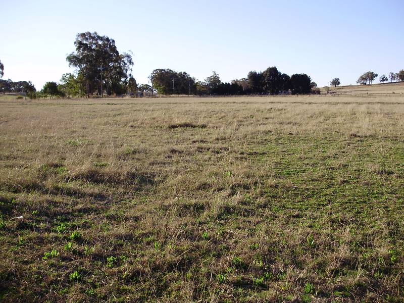 Acres with no Covenants Picture 1