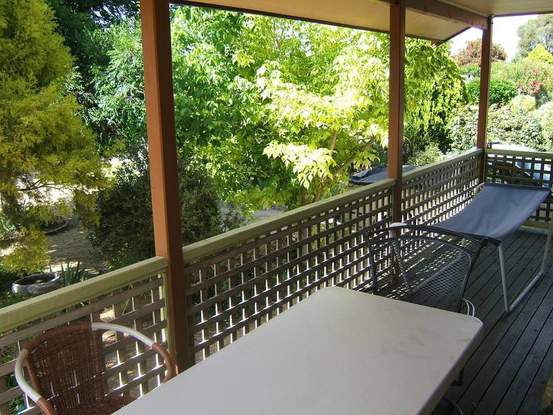 LIVE IN PEACE Picture