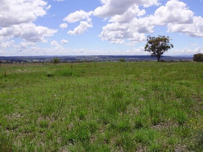 ELEVATED BLOCK! Picture