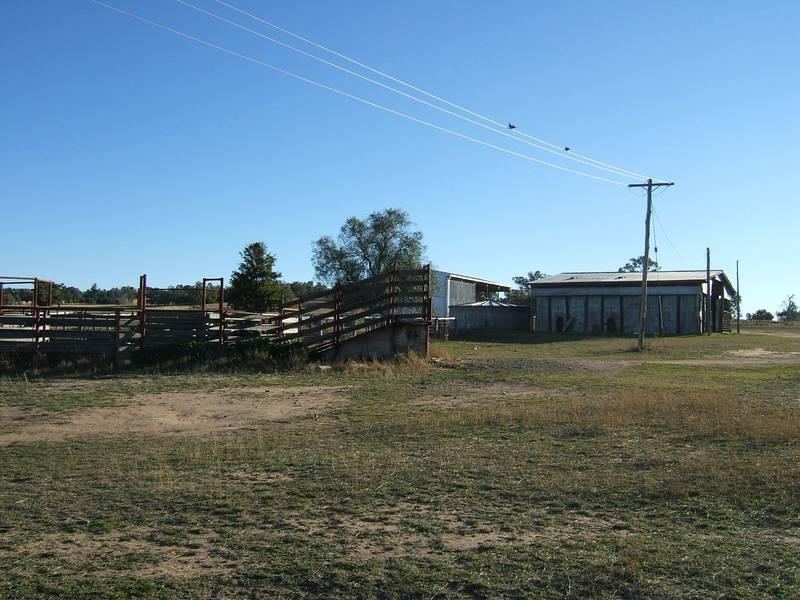 Quality with Diversity Picture 3