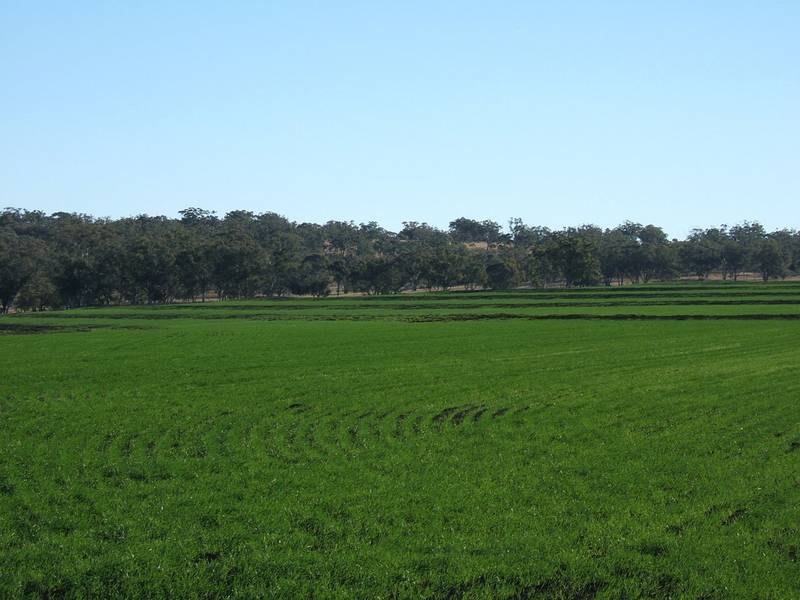 Quality with Diversity Picture 1