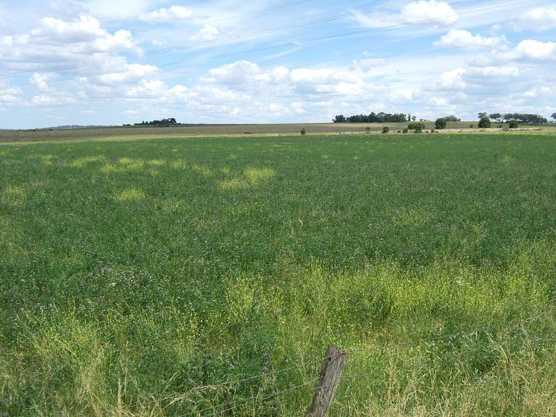 ONE OF A KIND Picture 1