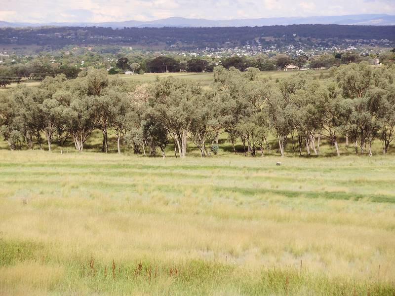 UNCHALLENGED INTELLIGENCE, INCREDIBLE ASPECT Picture 2