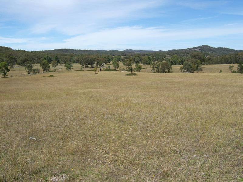 EXTRA GRAZING COUNTRY? Picture 1