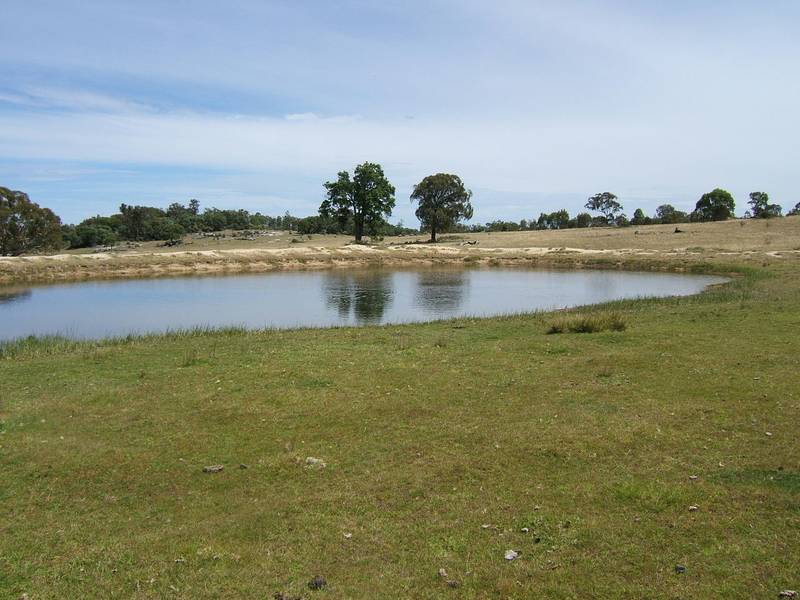 EXTRA GRAZING COUNTRY? Picture 2