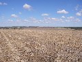 2009 SORGHUM AND WHEAT CROP COMPETITION WINNER Picture