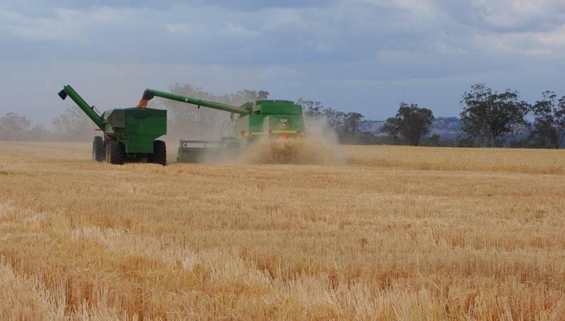 2009 SORGHUM AND WHEAT CROP COMPETITION WINNER Picture 1