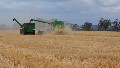 2009 SORGHUM AND WHEAT CROP COMPETITION WINNER Picture