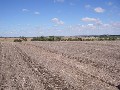 2009 SORGHUM AND WHEAT CROP COMPETITION WINNER Picture