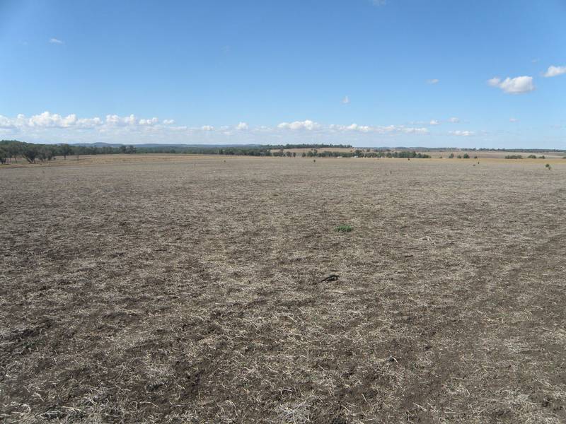 QUALITY CROPPING OR CATTLE COUNTRY Picture 3
