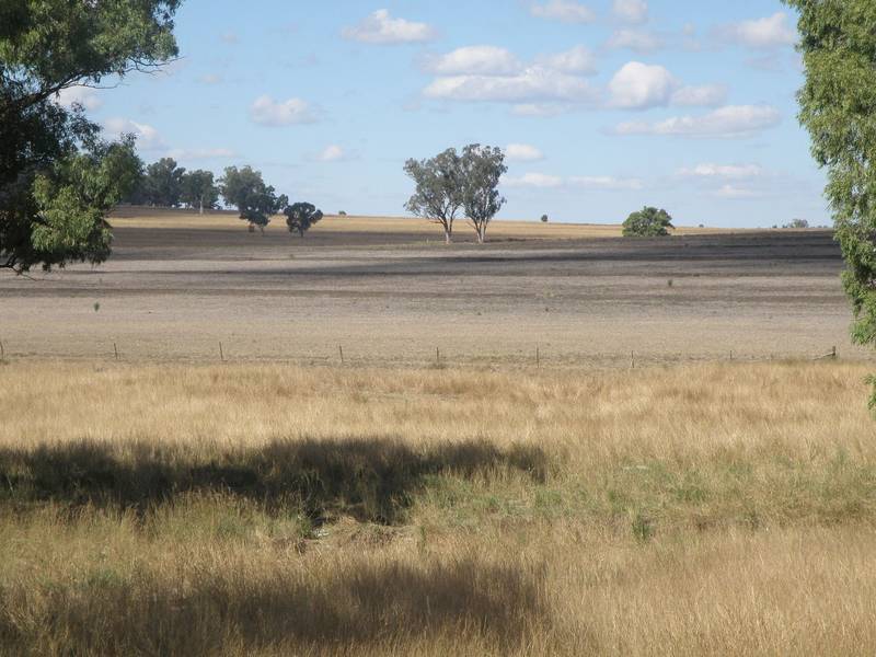 QUALITY CROPPING OR CATTLE COUNTRY Picture 1