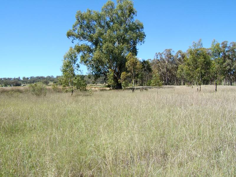 ACREAGE OUT OF TOWN Picture 2