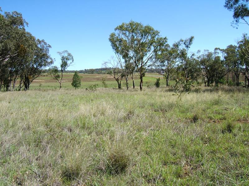 ACREAGE OUT OF TOWN Picture 1