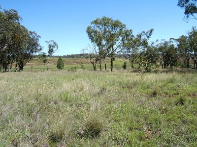 ACREAGE OUT OF TOWN Picture