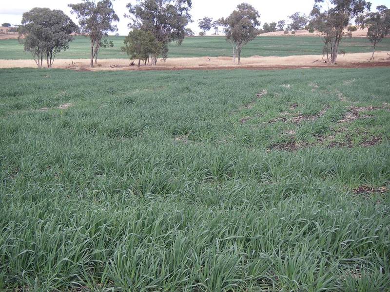 PRODUCTIVE & GOOD IMPROVEMENTS Picture 1