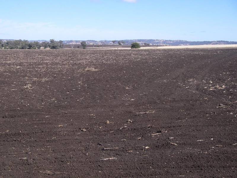 PRODUCTIVE & GOOD IMPROVEMENTS Picture 2