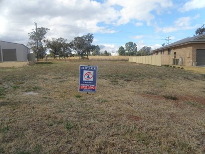 BLOCKS AVAILABLE! Picture