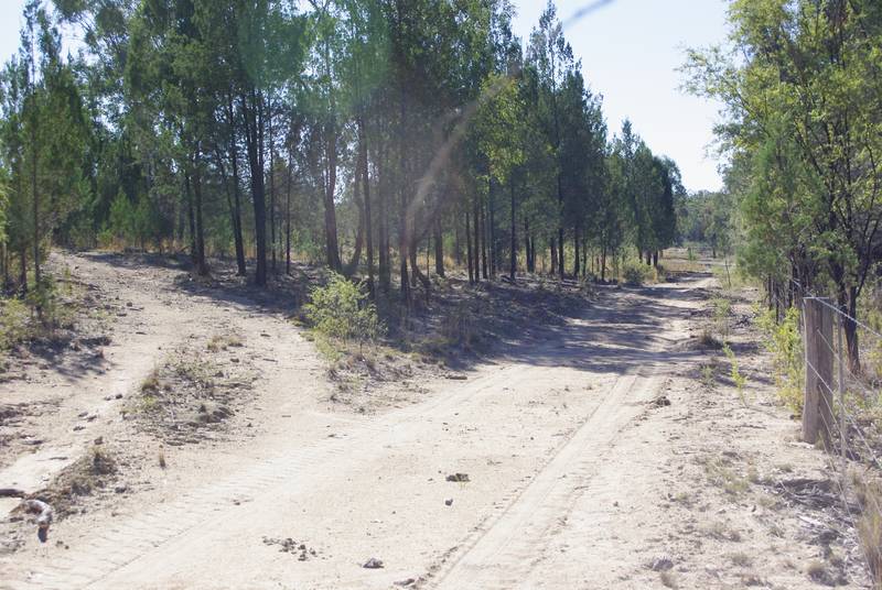 TIMBERED GRAZING BLOCK Picture 3