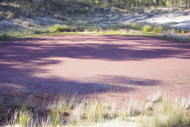 TIMBERED GRAZING BLOCK Picture 2