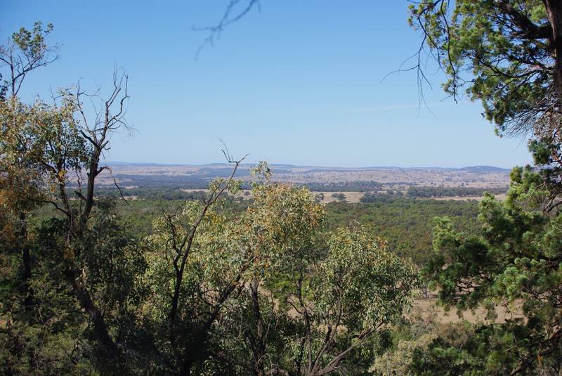 TIMBERED GRAZING BLOCK Picture 1