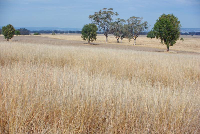 HANDY ACREAGE CLOSE TO TOWN Picture 3