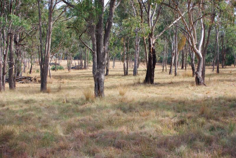 HANDY ACREAGE CLOSE TO TOWN Picture 2