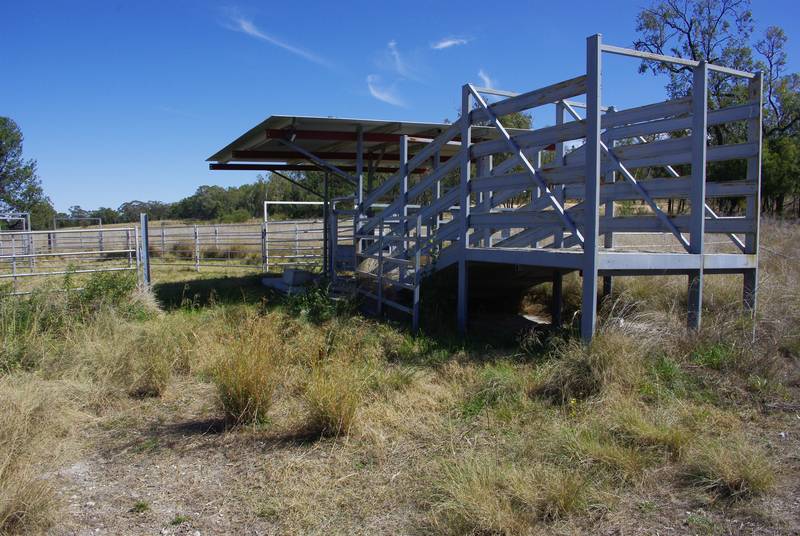 KING OF ALL HOBBY FARMS Picture 2