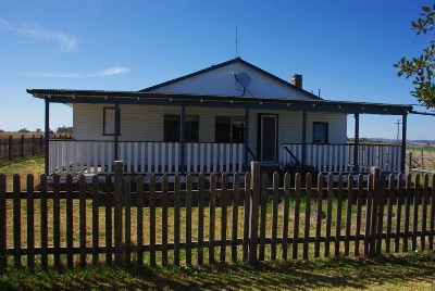 KING OF ALL HOBBY FARMS Picture