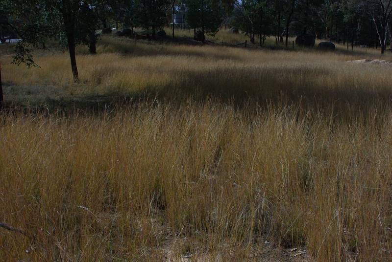 BLOCK TO BUILD ON! Picture 2