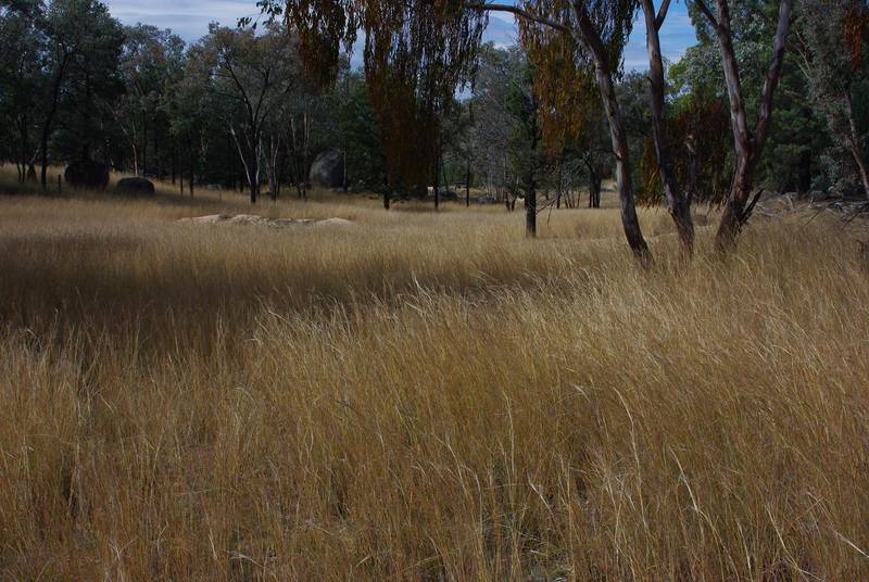 BLOCK TO BUILD ON! Picture 1