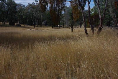 BLOCK TO BUILD ON! Picture