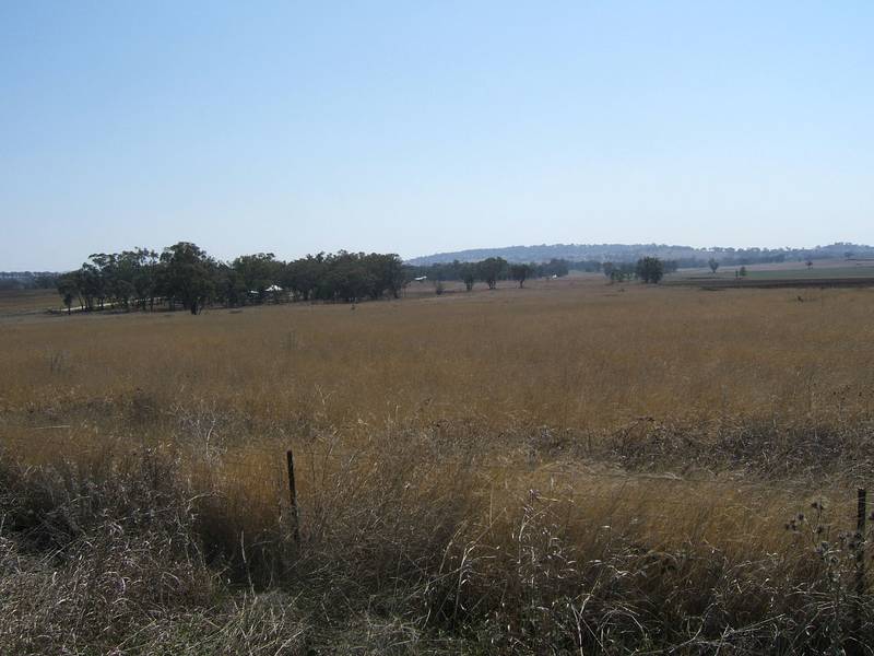 ACRES PLUS CONVENIENCE Picture 1