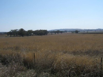 ACRES PLUS CONVENIENCE Picture