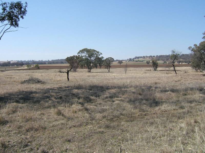 ACRES PLUS CONVENIENCE Picture 2