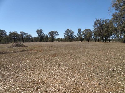 ESCAPE THE HUSTLE & BUSTLE Picture