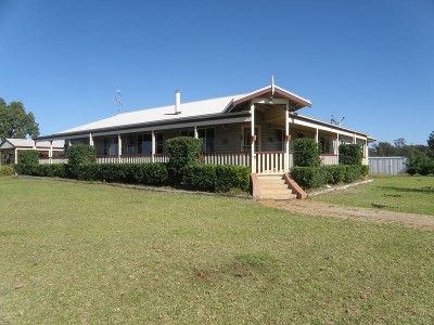 BRING ALONG YOUR HORSES Picture BRING ALONG YOUR HORSES Picture