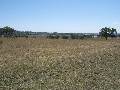 NORTHERLY VIEWS OVER TOWN Picture