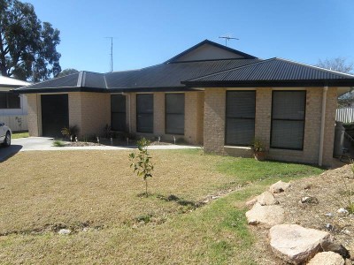 NO NEED TO BUILD Picture