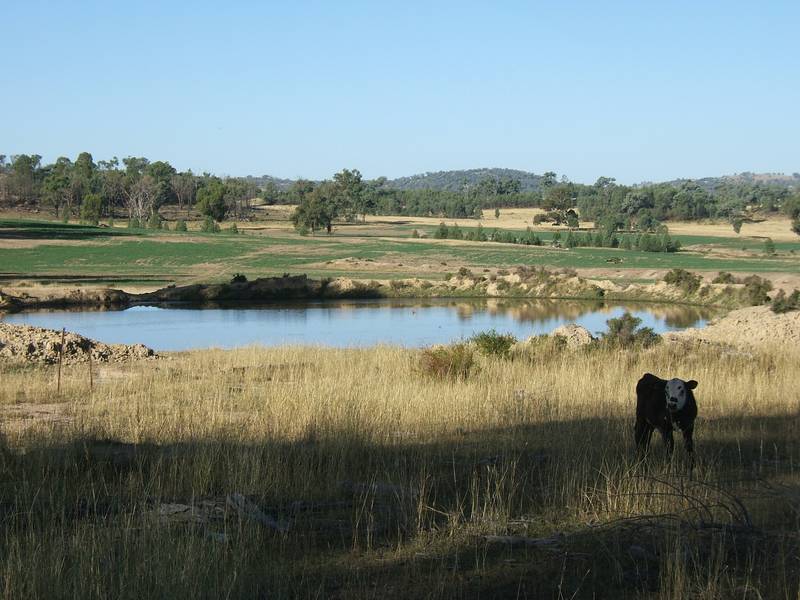 VERSATILE CATTLE & CROPPING COUNTRY Picture 2