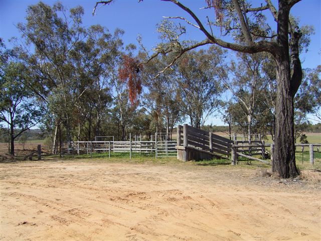 LOOKING FOR EXTRA COUNTRY? Picture 3