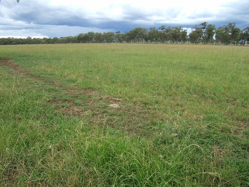 GOOD SMALL ACREAGE Picture 3