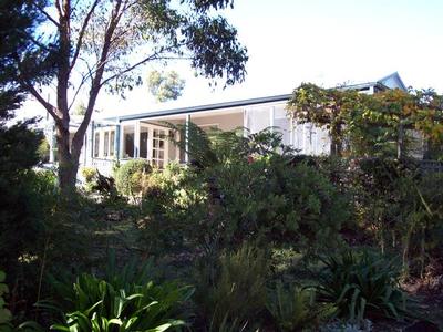 Serenity in the Bush Picture Serenity in the Bush Picture