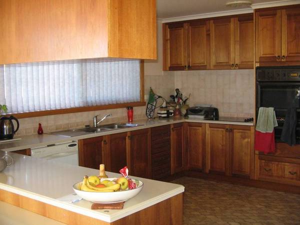 Big Family Big Views Picture Big Family Big Views Picture