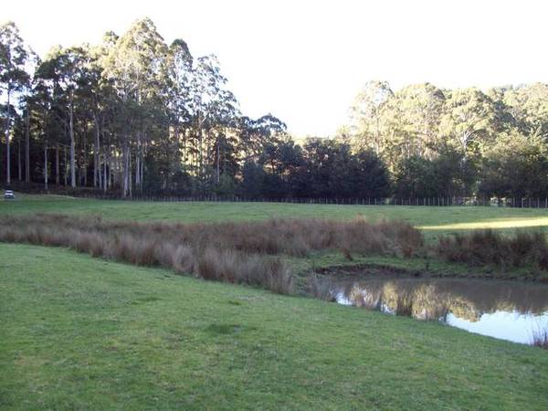 Your Own Nature Reserve Picture 2